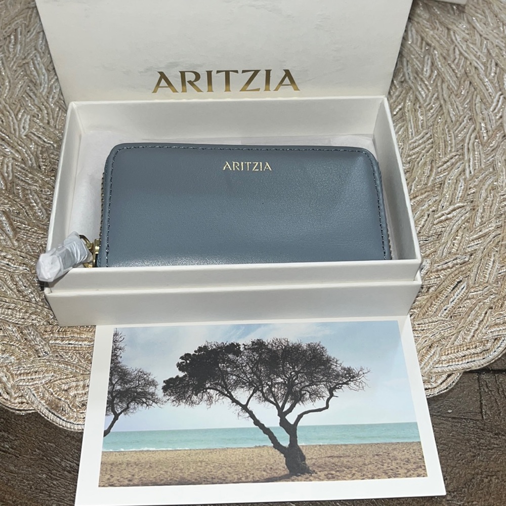 Aritzia- Very cute & mini wallet